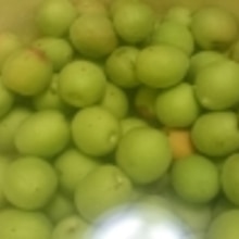 簡単に手作り出来ちゃう 甘酸っぱいカリカリ梅 レシピ 作り方 By こぐま母 楽天レシピ 簡単に手作り出来ちゃう 甘酸っぱいカリカリ梅 レシピ 作り方 By こぐま母 楽天レシピ